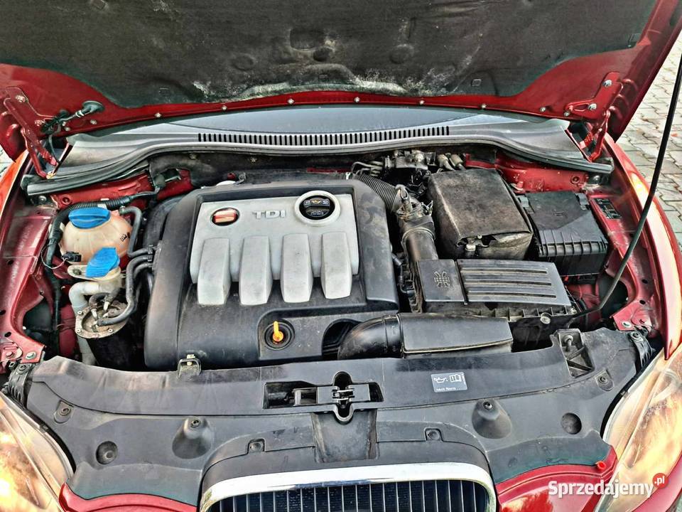 Seat Leon II Stage 1 200 Radgoszcz