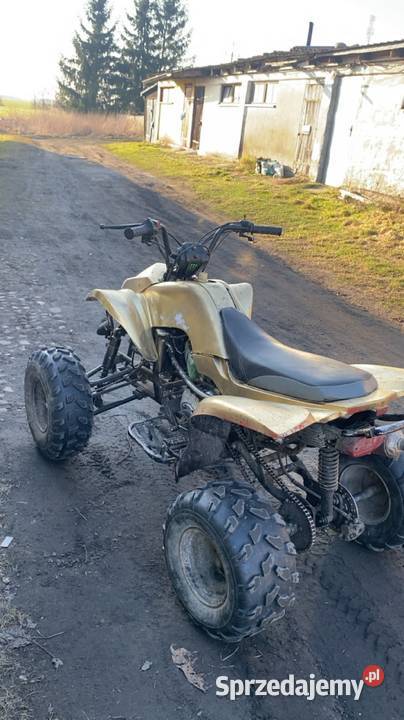 Bashan 200 ciecz zamiana 508354749KM Rąbino