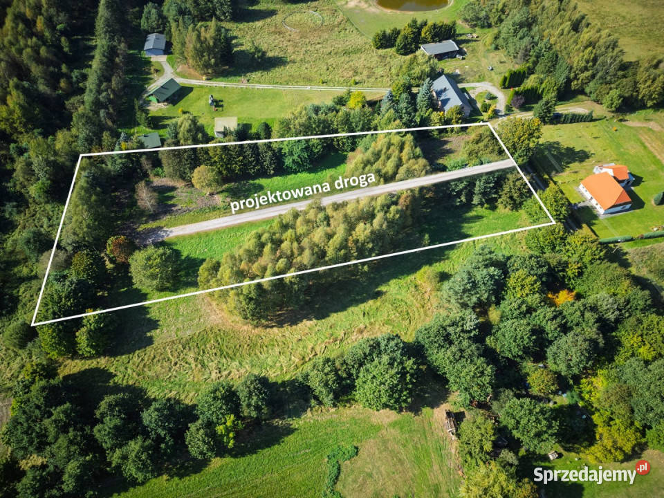 sprzedaży działki Kowalewice 500m2