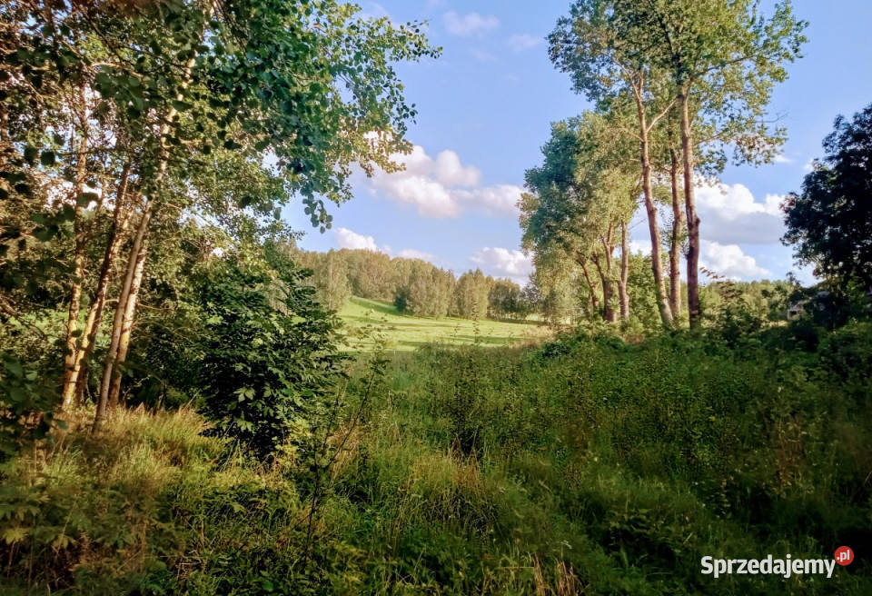 Działka JEZIOREM dostęp pod dom 3050m2 Sorkwity sprzedam