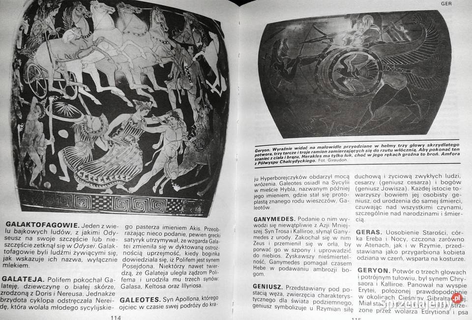 Słownik mitologii greckiej i rzymskiej Joel Rok wydania 1996