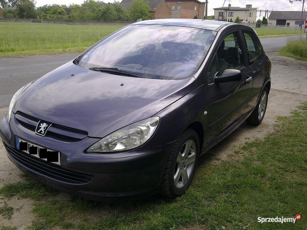 Peugeot 307 wielkopolskie Ostrów Wielkopolski