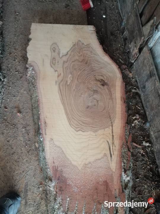 deski 120x 50do90x5 dąb jesion stolik kawowy Przysucha