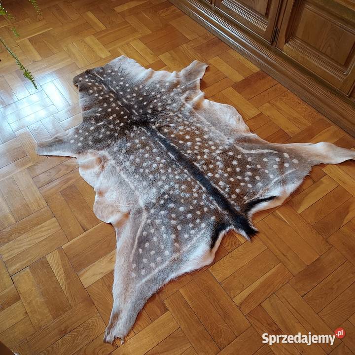 Skóra Naturalna z Deniela Skóra Dekoracyjna Szaflary