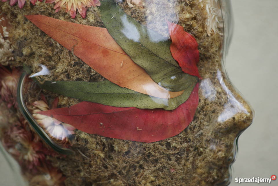 Szklana głowa kwiatowa kompozycja mazowieckie Warszawa sprzedam