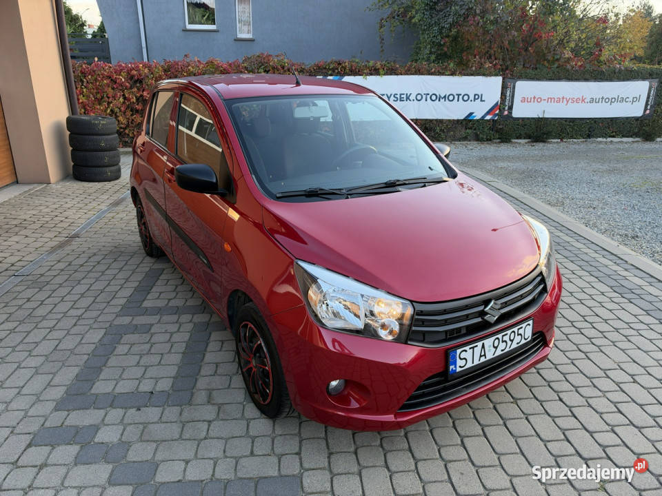 Suzuki Celerio Rezerwacja Orzech