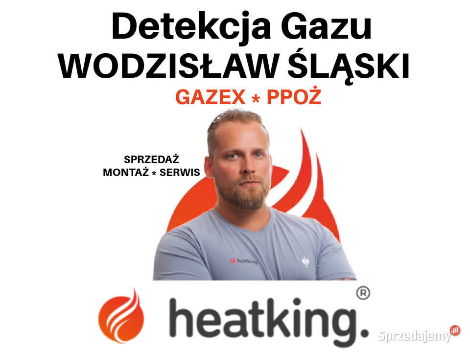 Detekcja Gazu Gazex PPOŻ Wodzisław Śląski