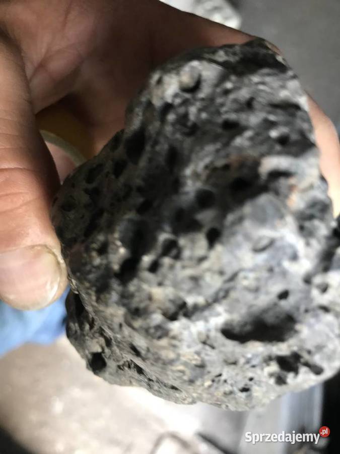 Meteoryt żelazno kamienny piękny okaz Gorzów Wielkopolski sprzedam