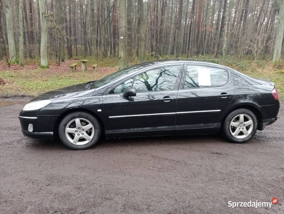 Peugeot 407 20 hdi 407 Dłutów