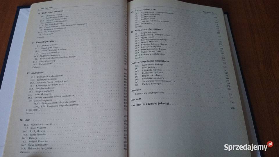 Podstawy fizyki statystycznej Kerson Huang Książki naukowe i popularnonaukowe Gdańsk