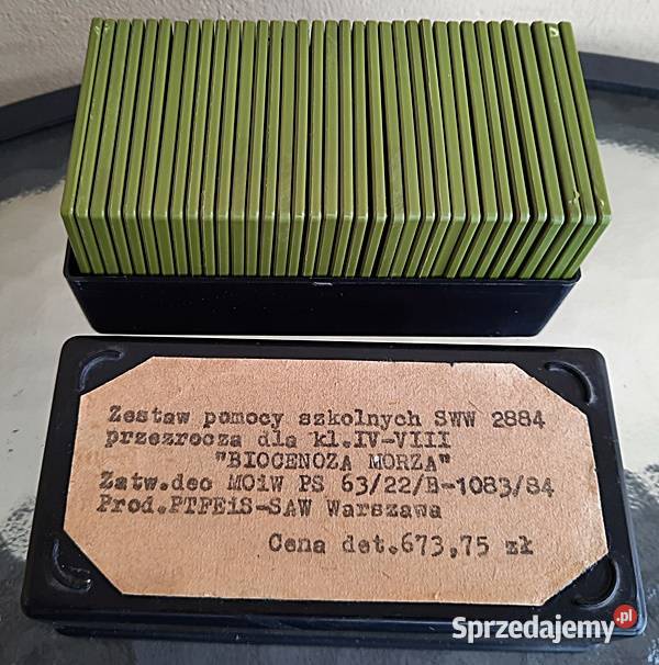 Slajdy Biocenoza morza Ostrów Wielkopolski