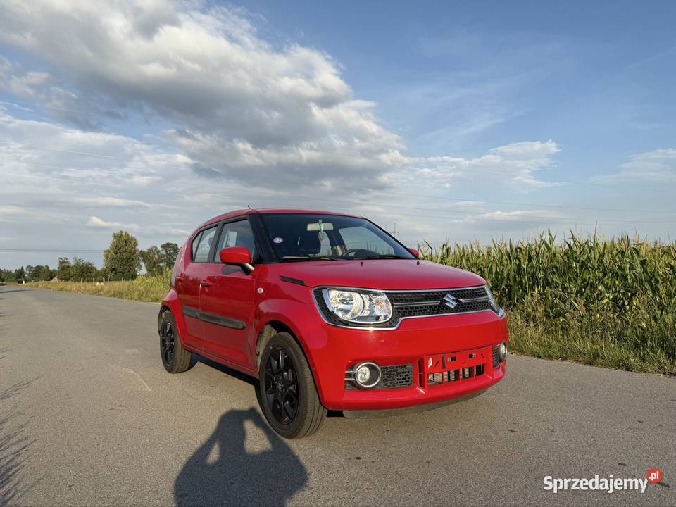 Suzuki Ignis nieuszkodzony