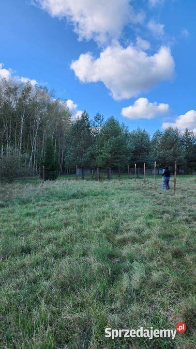Na sprzedaż działka budowlana Ogrodzieniec