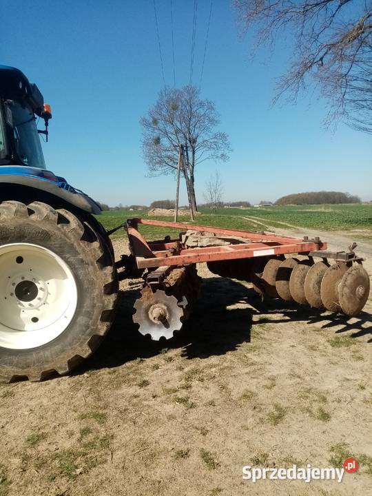 Brona talerzowa Pozostałe Szklarnia