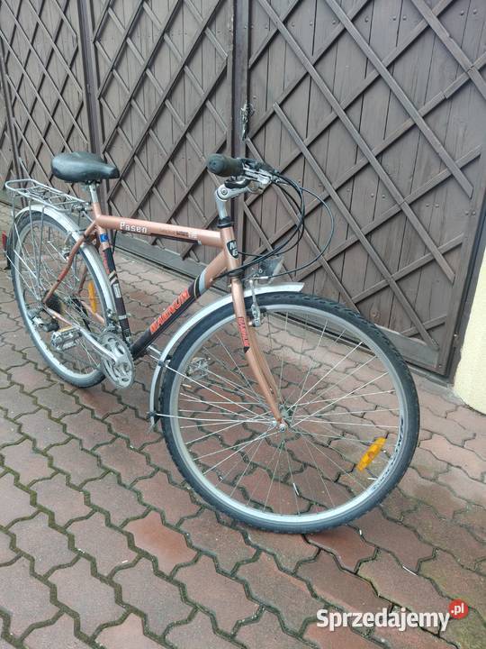 Rower miejski 28 koło małopolskie Bochnia