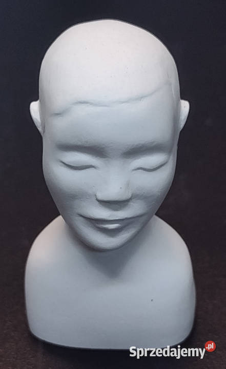 Popiersie gipsowe Główka głowa do utwardzania Gdańsk