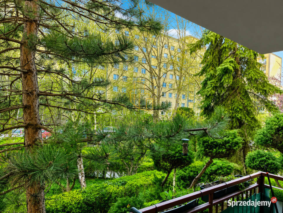 3 pokoje 63 m balkon winda Nowy Dwór Liczba pokoi 3 Wrocław sprzedam