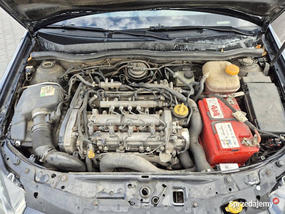 Sprzedam opla astre h gtc 19 światła przeciwmgielne Czerwińsk nad Wisłą