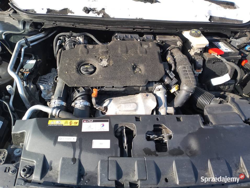 SPRZEDAM PEUGEOT 308 HDI BLUE AUTOMATIC SERWIS 308 śląskie Wilkowice