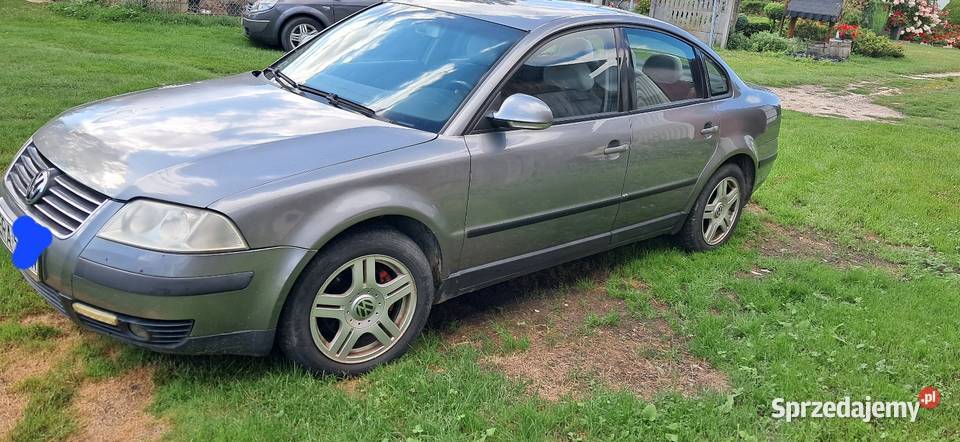 Volkswagen Passat B5 Wielgomłyny