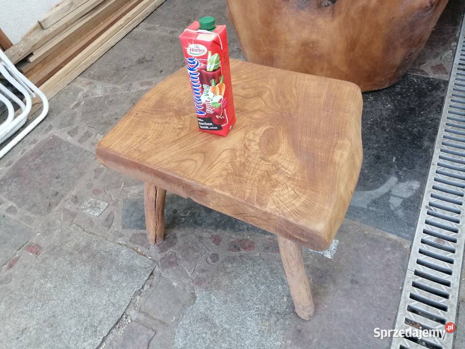 fotel z jednego pnia dębu średnicy około 1 metra 70cm Przysucha