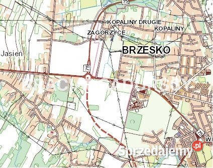 Grunt Brzesko 5453m2 handlowo-usługowa