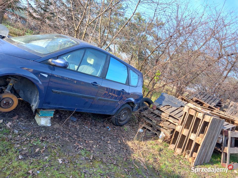 Renault megane Grand Scenic 19 dczesci czesci