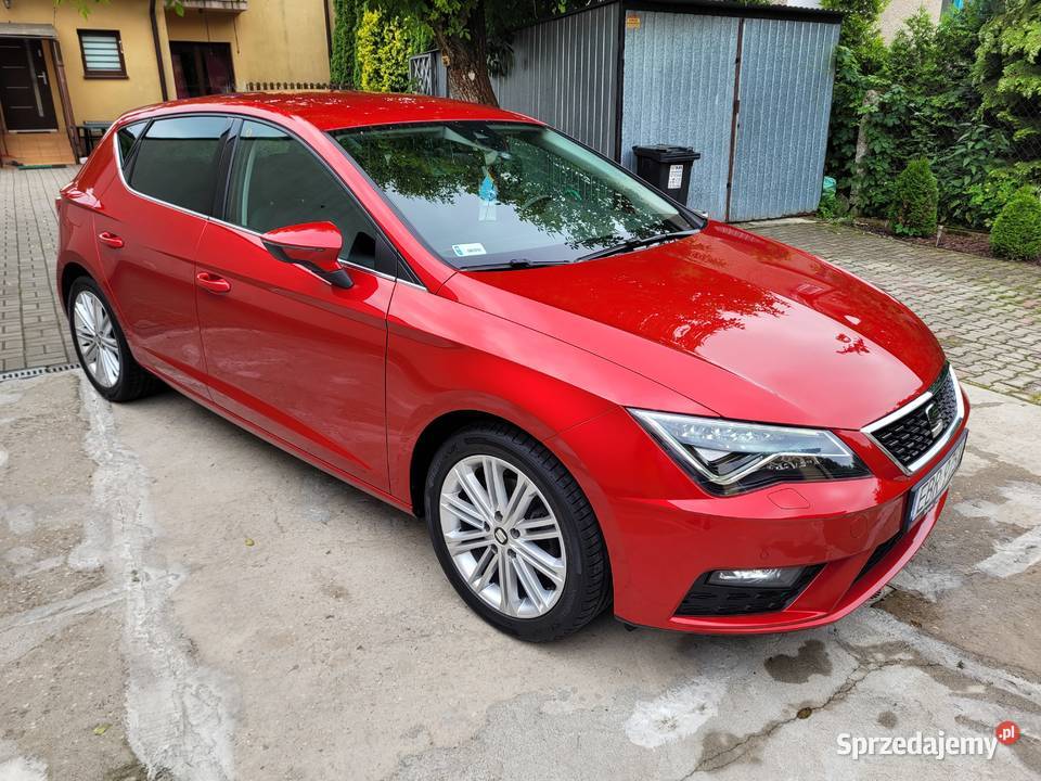 Bezwypadkowy Krajowy Xcellence Stan Leon Zawiercie