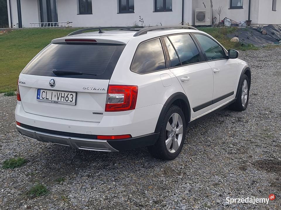 Skoda Octavia Scout komputer pokładowy Lipno
