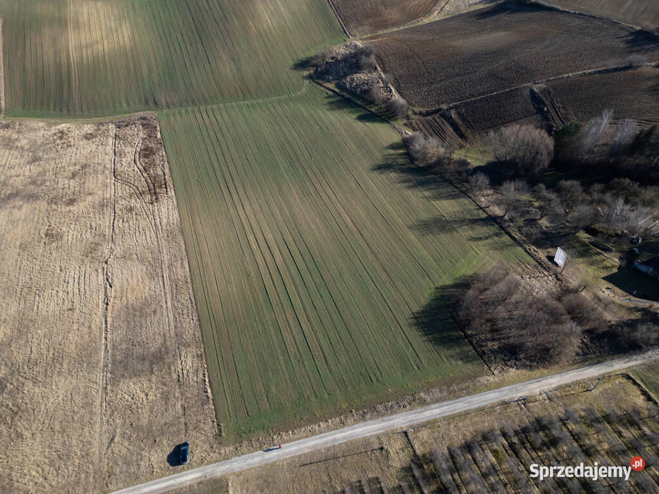 Działka z WZ Dąbrówki OStrowiec Św 1056m2 utwardzona Ostrowiec Świętokrzyski