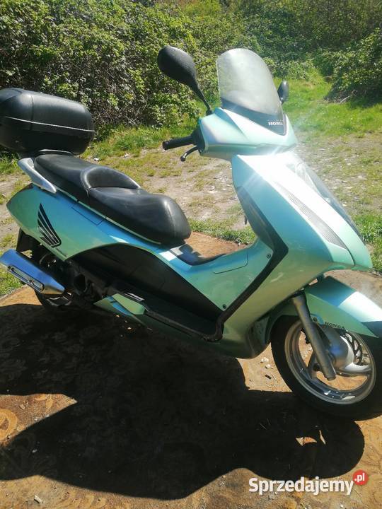 Honda Pantheon 12550 Brzeg