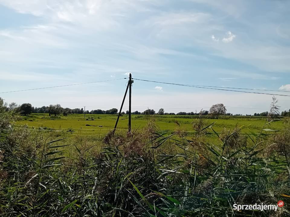 Syndyk sprzeda udziały w grunatach Żurawiec Jurandowo sprzedam