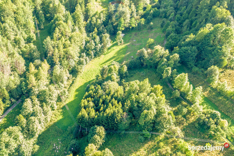 Ziemia Tylmanowa utwardzona