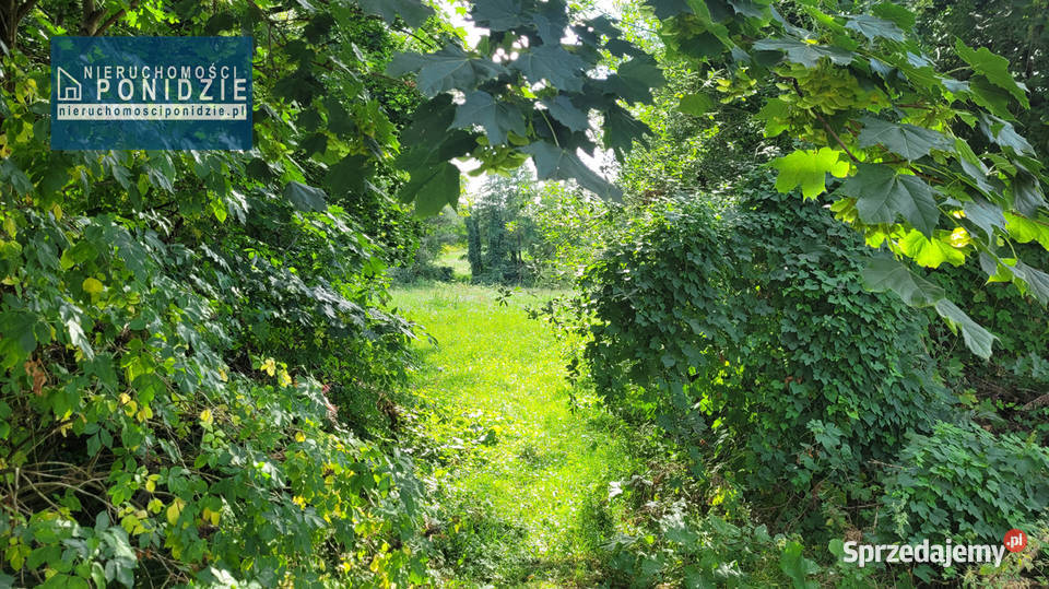 Działka budowlana strumykiem Zborów SolecZdrój 31zł/m2 Solec-Zdrój