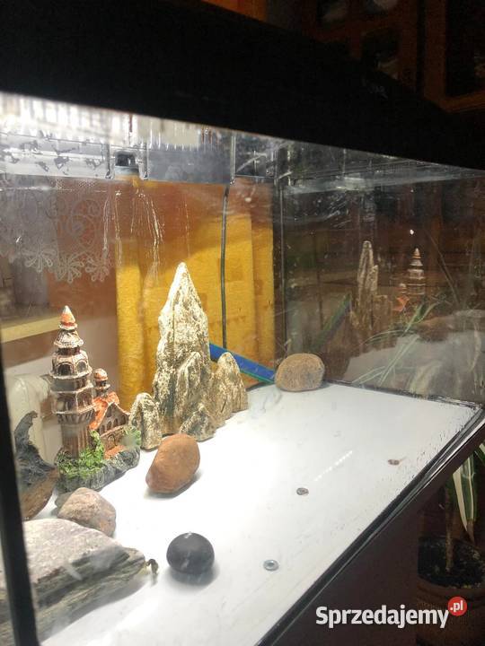 akwarium aquael 60l Księżpol sprzedam
