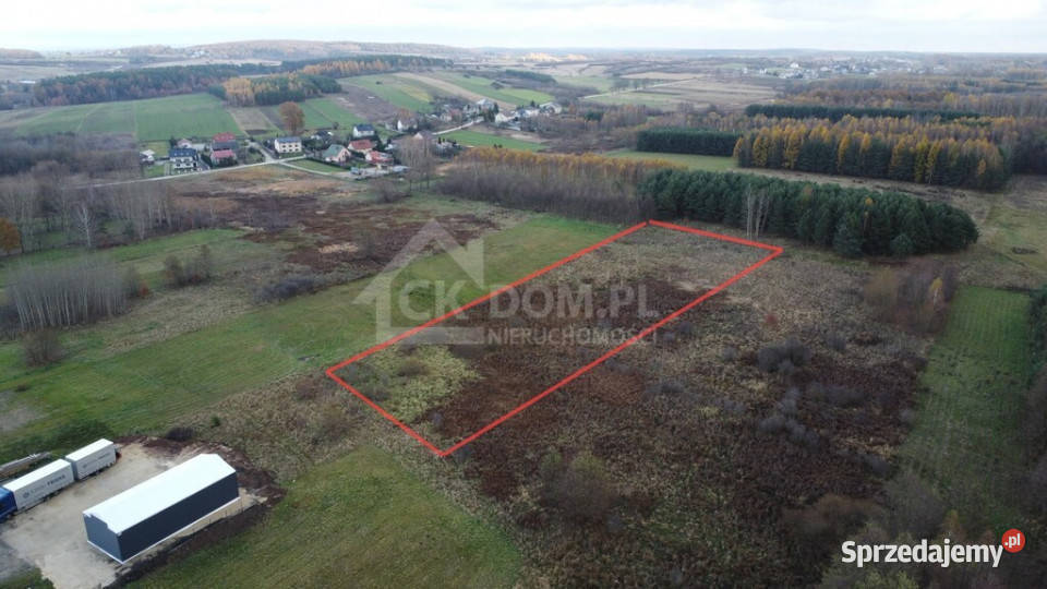 Działka 6500 m2 w Łukowej gm Chęciny polna Łukowa