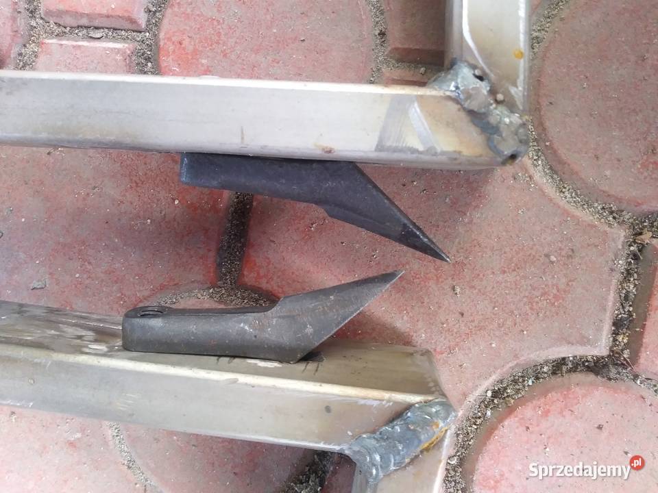 Drzewołazy nowe kolce Zduńska Wola