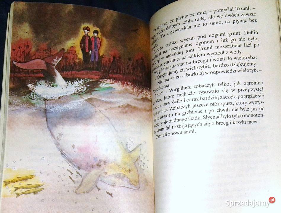 trzecim zakrętem marzeń Wojciech Romanowski Rok wydania 1984