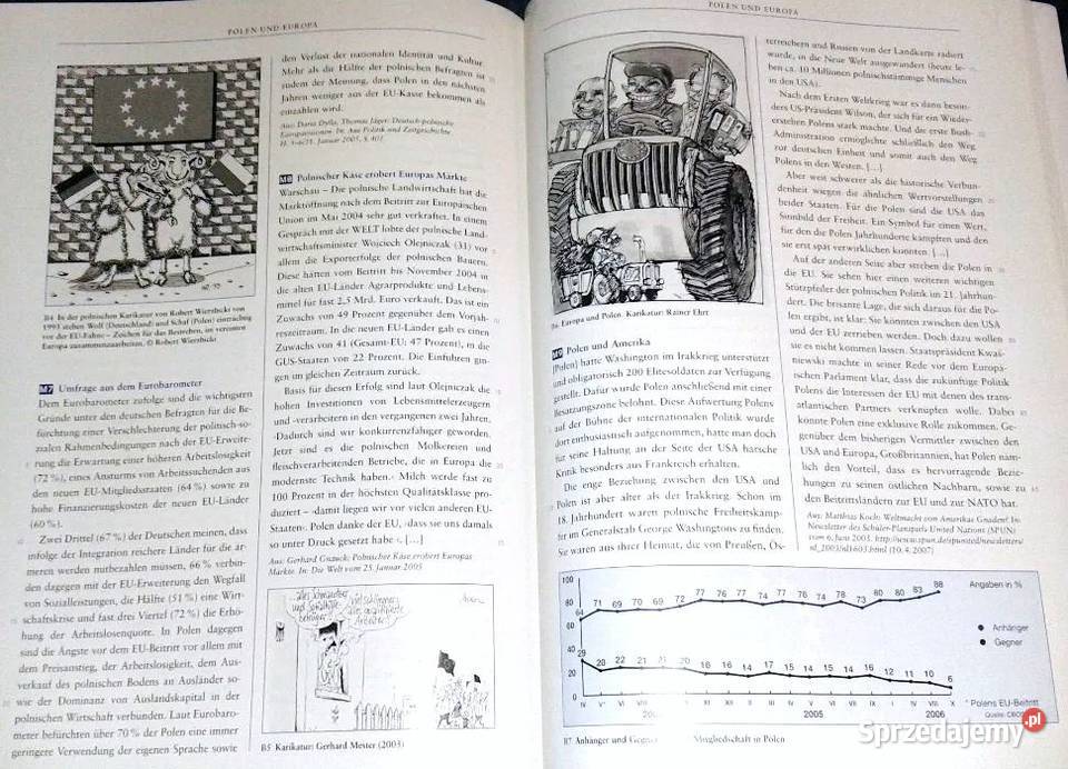 Polnische Geschichte und deutschpolnische Rok wydania 2007 sprzedam