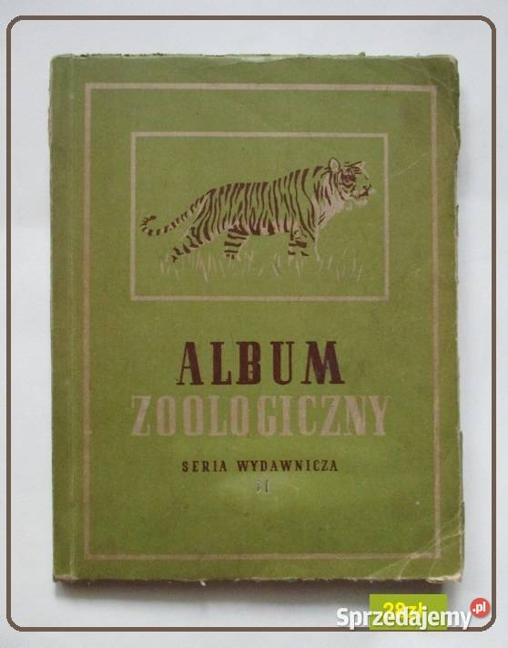 Ptaki przyroda flora fauna natura