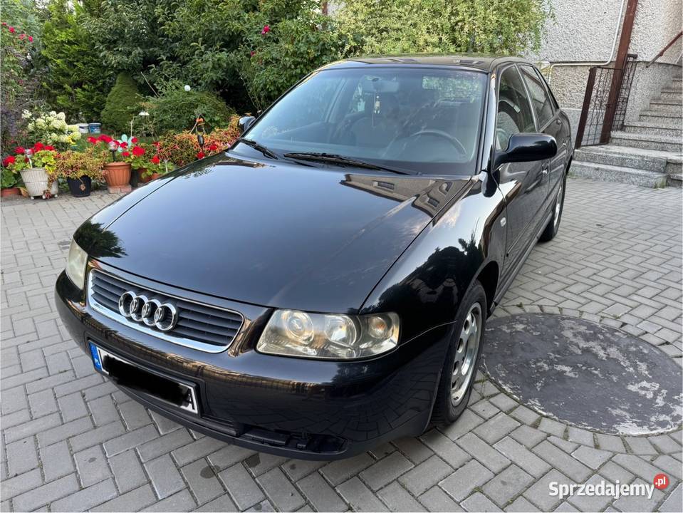 Audi A3 8L 16 Benzyna 101 Niski przebieg stan lakier metallic sprzedam