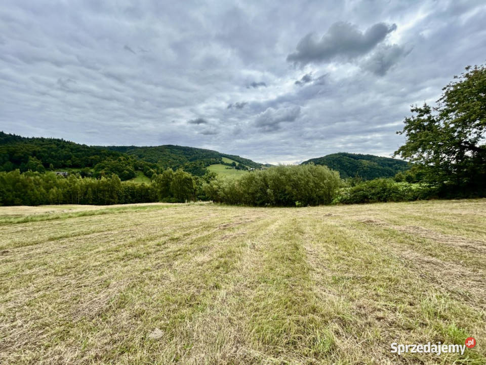 sprzedaży gruntu Laskowa 1300m2 budowlana sprzedam