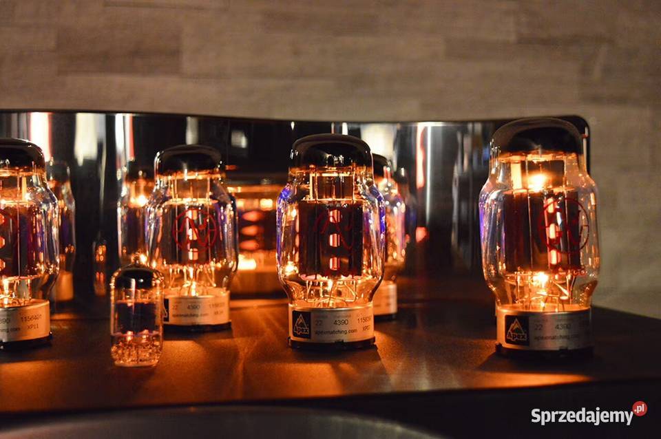 Zesto EROS 300 Monoblock Power Amplifiers Pure Wełdkówko