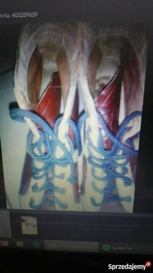 łyżwy hokejowe męskie warmińsko-mazurskie Iława