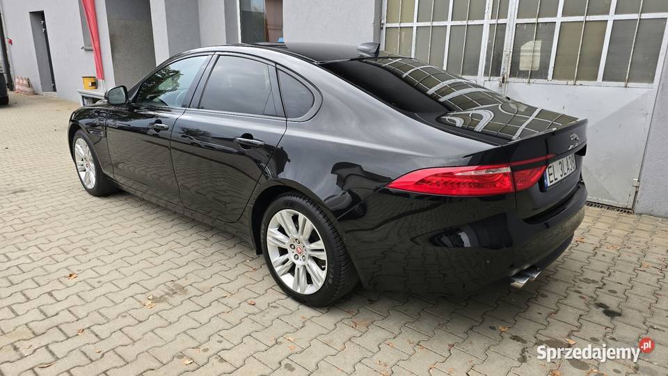 Jaguar XF Nowy Świętów