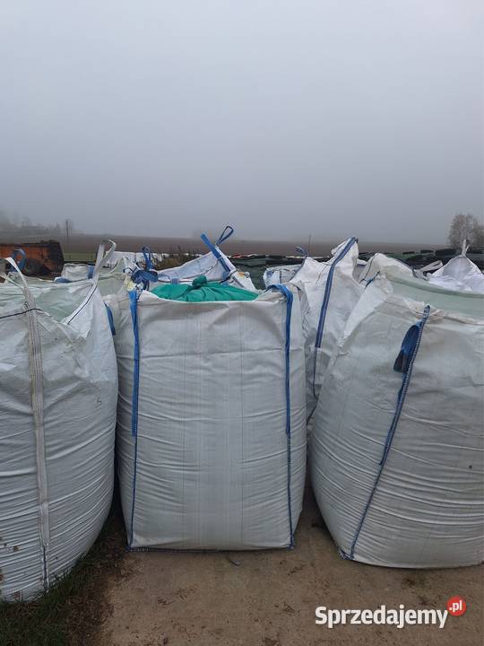 Kukurydza mielona Big Bag Sadowo