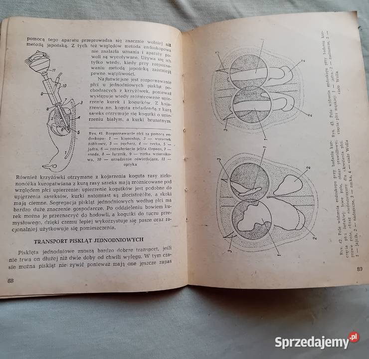 Inż M Czekalińska Sztuczny wyląg drobiu PWRiL Koźminek