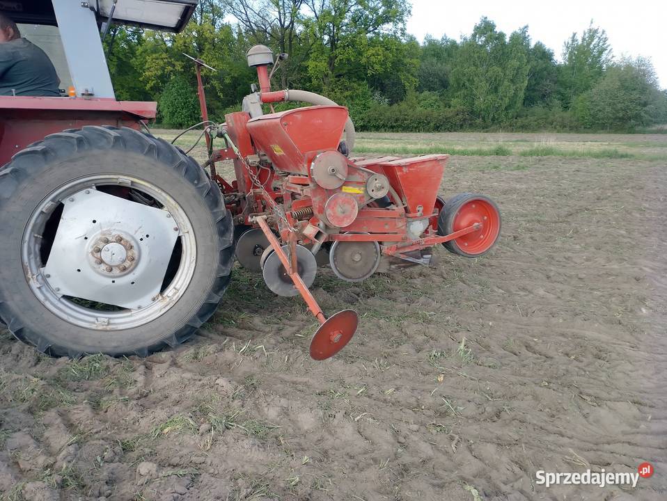 Siewnik do kukurydzy cztero rzędowy talerzowy Sieradz