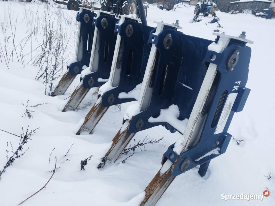 Brona do gałęzi Leśnictwo warmińsko-mazurskie Kosakowo
