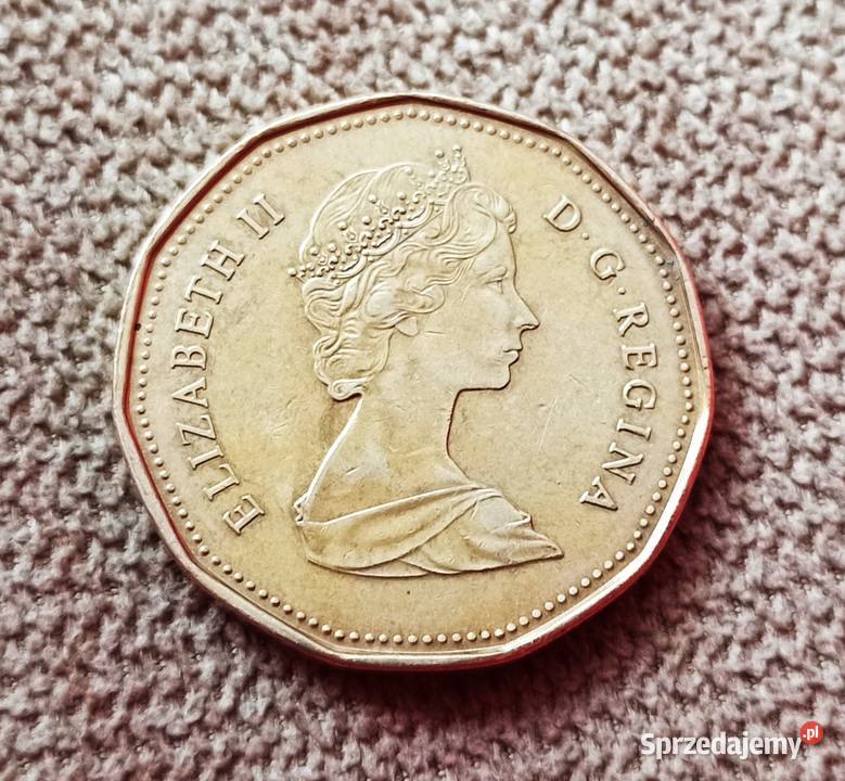 Moneta 1 kanadyjski 1989 r Wrocław sprzedam